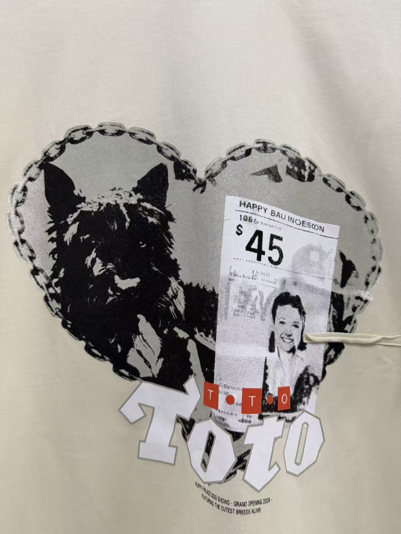 Paly Hollywood Vintage Graphic Washed T-Shirt---Apricot